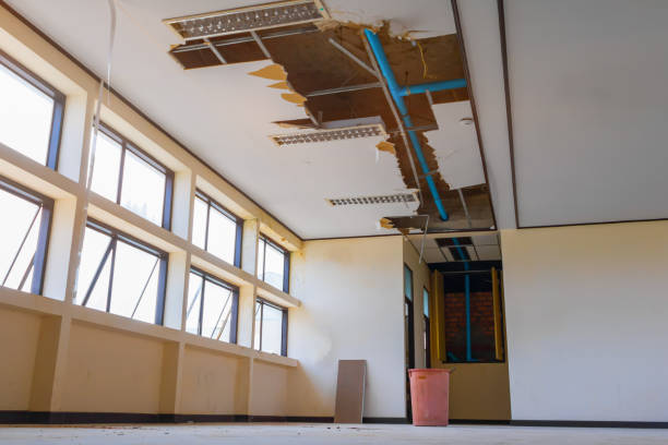 Best Flood restoration services  in Springville, UT