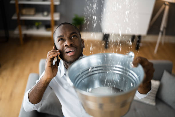Best Water damage restoration near me  in Springville, UT