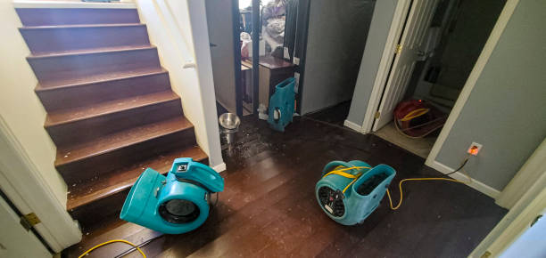 Best Emergency water damage restoration  in Springville, UT