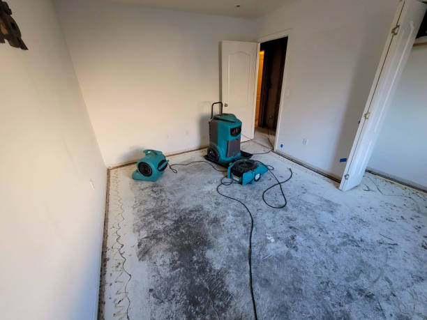Best Fire Damage Restoration  in Springville, UT