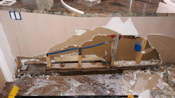Best Water damage repair service  in Springville, UT