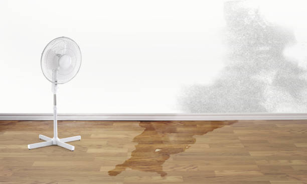 Carpet water damage restoration in Springville, UT
