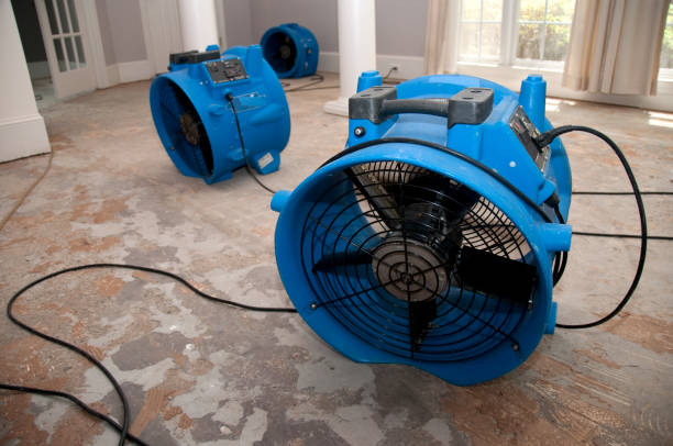 Best Sewage cleanup and water damage restoration  in Springville, UT