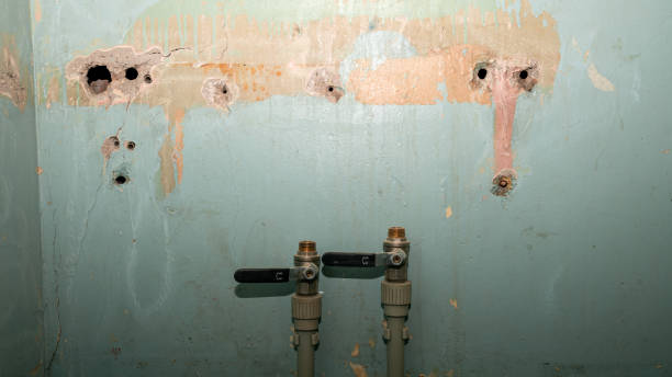 Best Water damage contractors near me  in Springville, UT