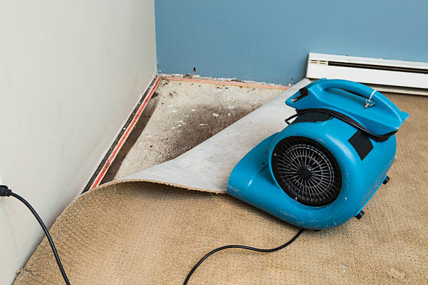 Best Commercial water damage restoration  in Springville, UT